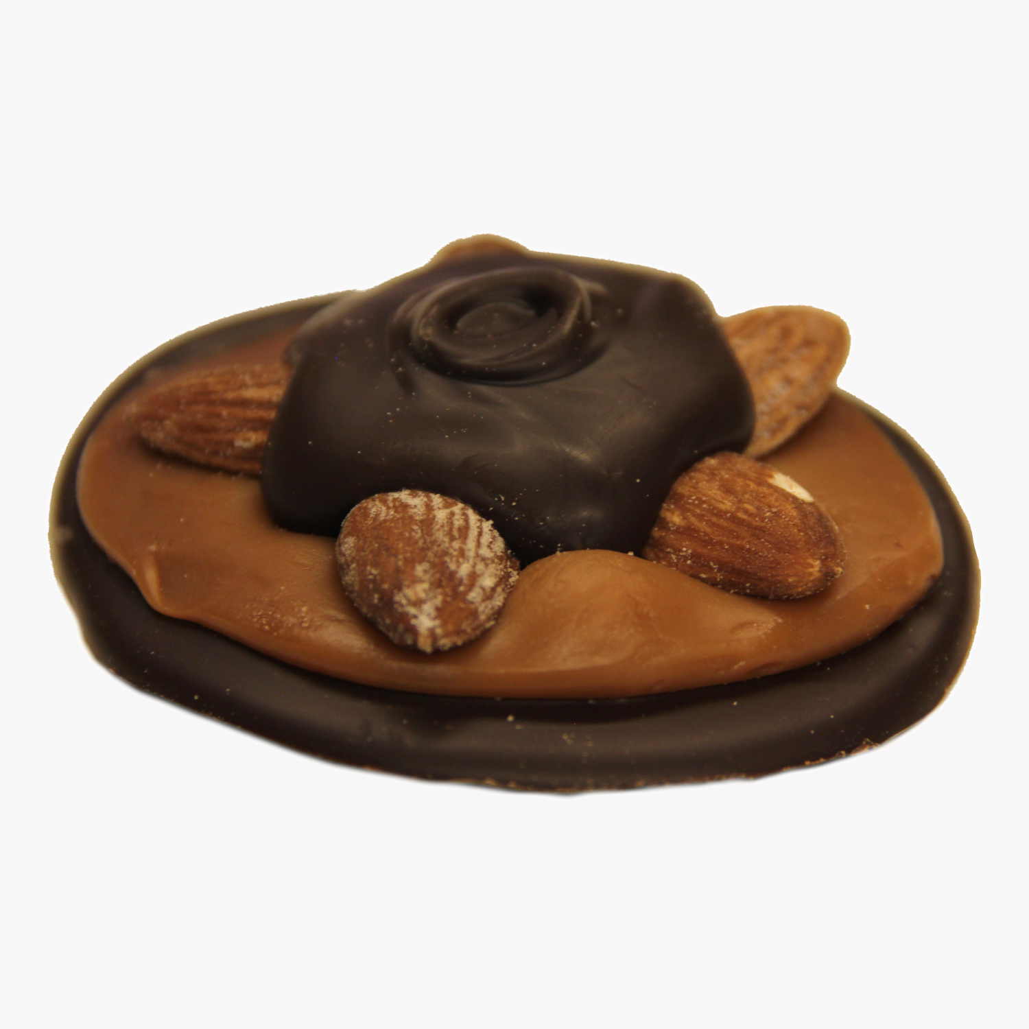 Dark Chocolate Almond Bear Paw.