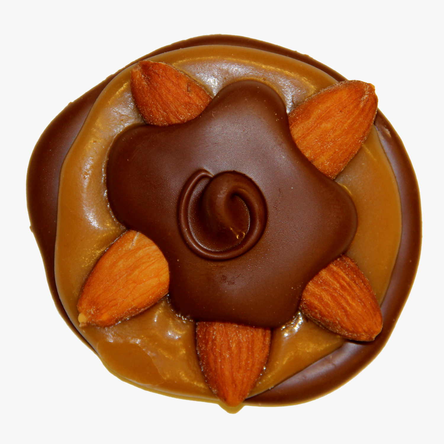 Dark Chocolate Almond Bear Paw.