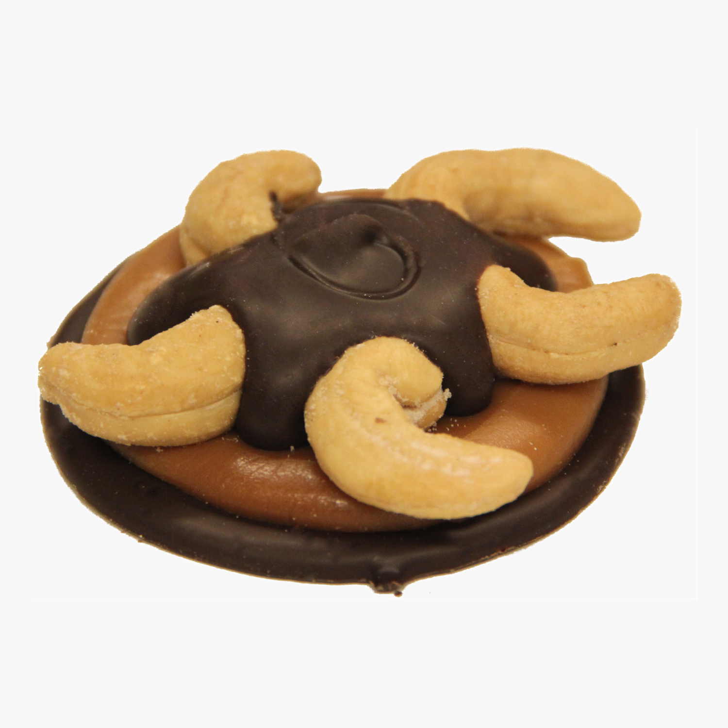 Dark Chocolate Cashew Bear Paw.