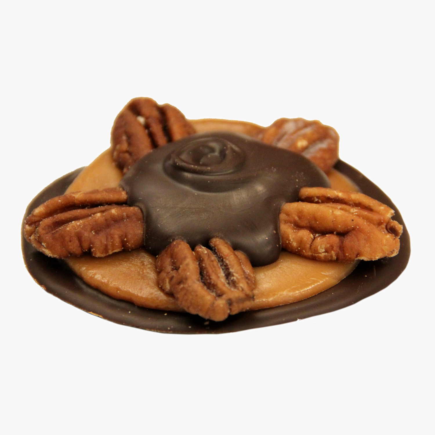Dark Chocolate Pecan Bear Paw.