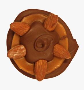 Milk Chocolate Almond Bear Paw.