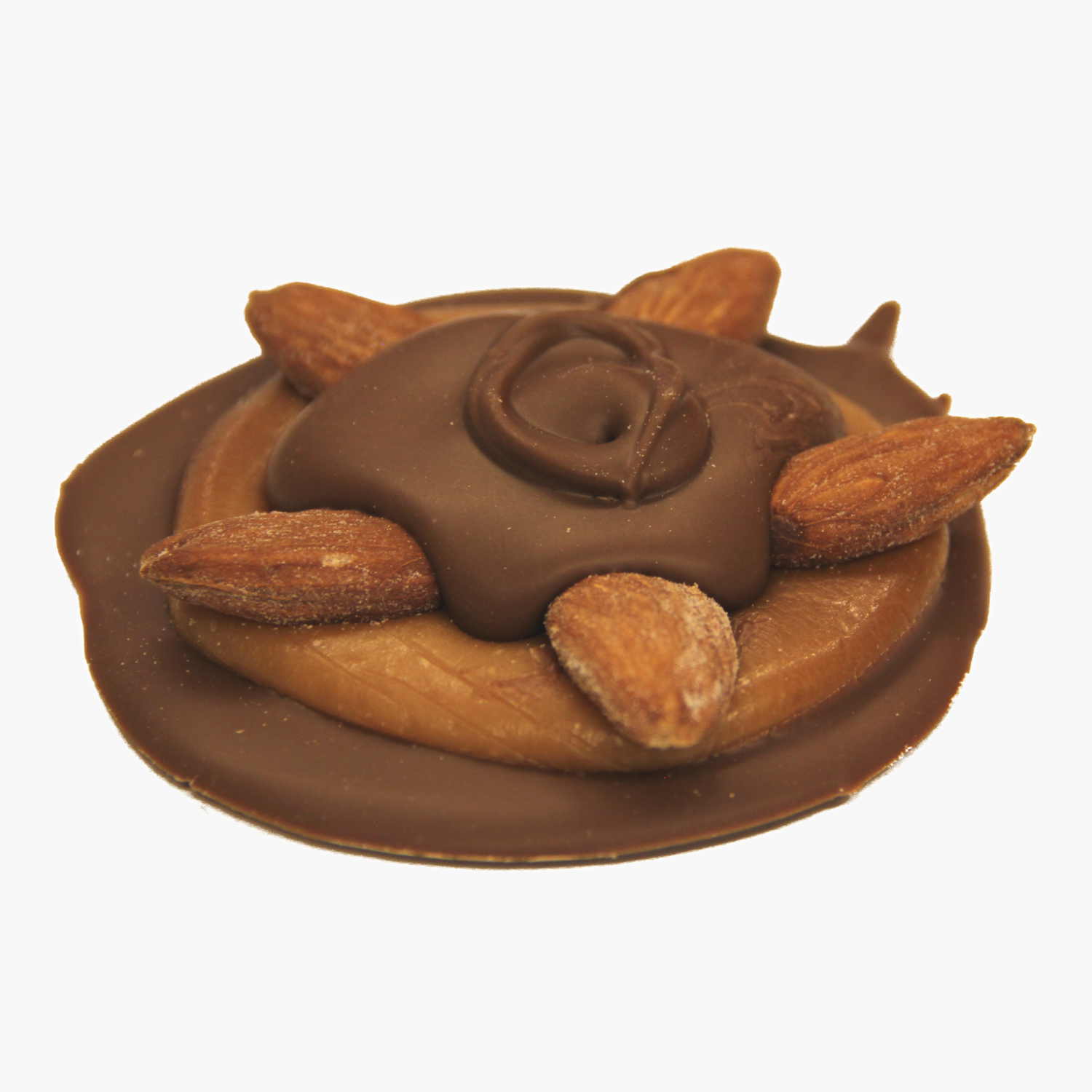 Milk Chocolate Almond Bear Paw.