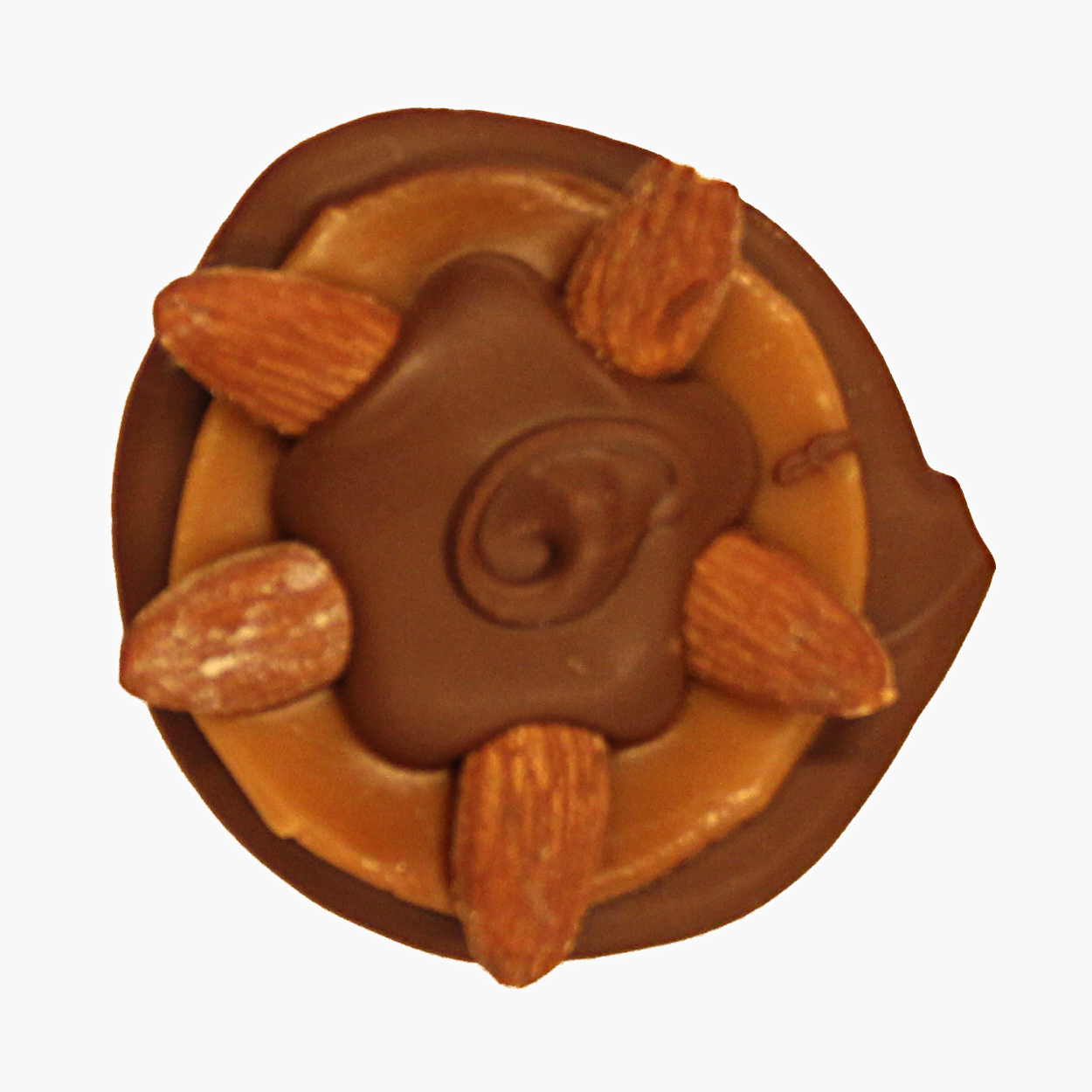 Milk Chocolate Almond Bear Paw.