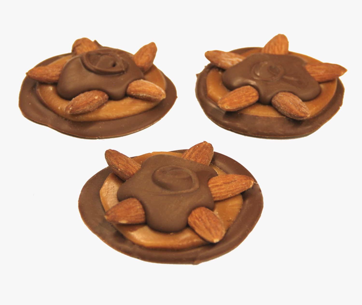 Milk Chocolate Almond Bear Paw.