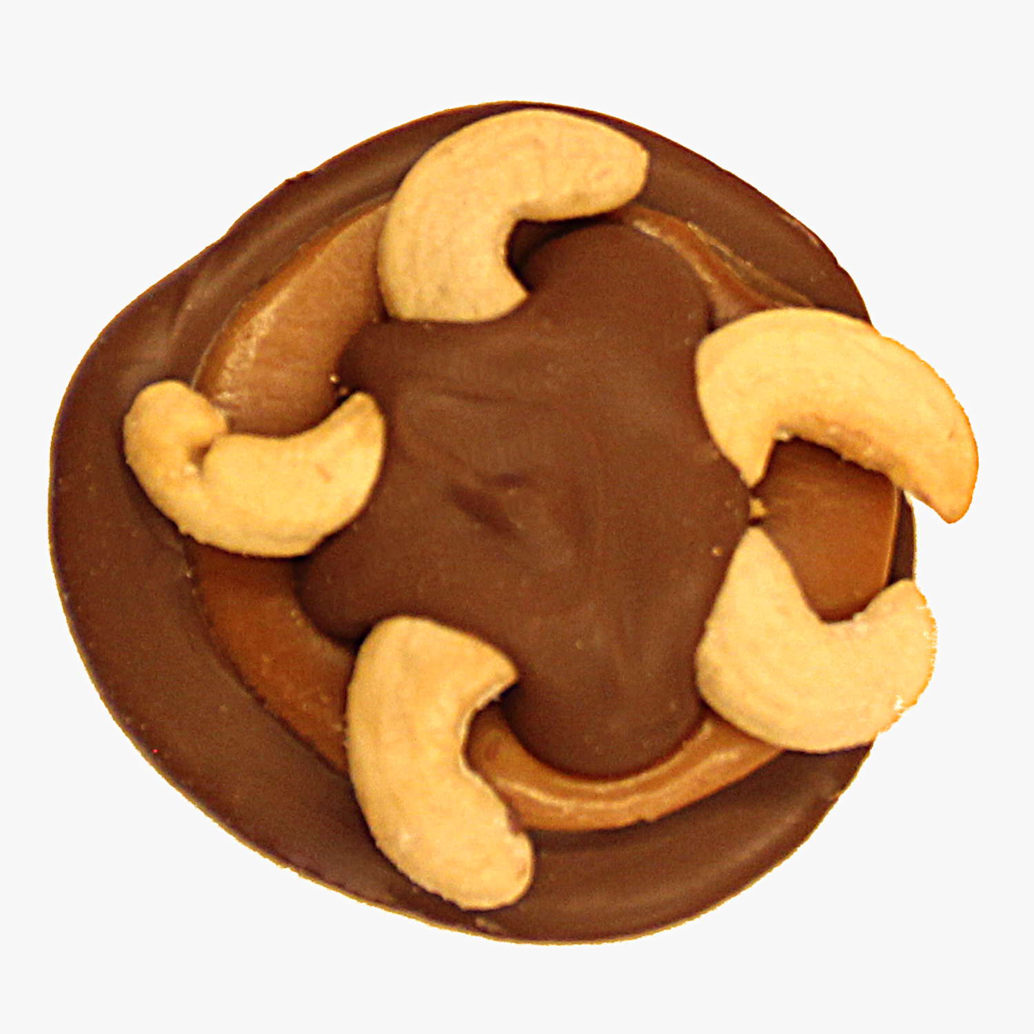 Milk Chocolate Cashew Bear Paw.