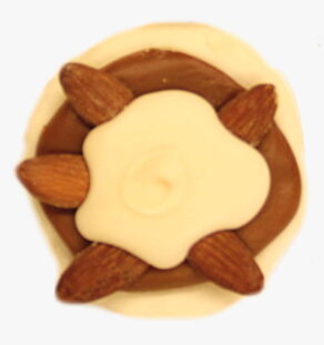 White Chocolate Almond Bear Paw.